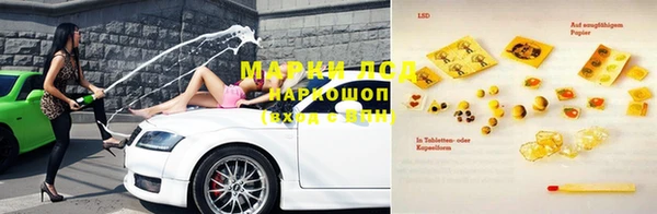 тгк Новозыбков